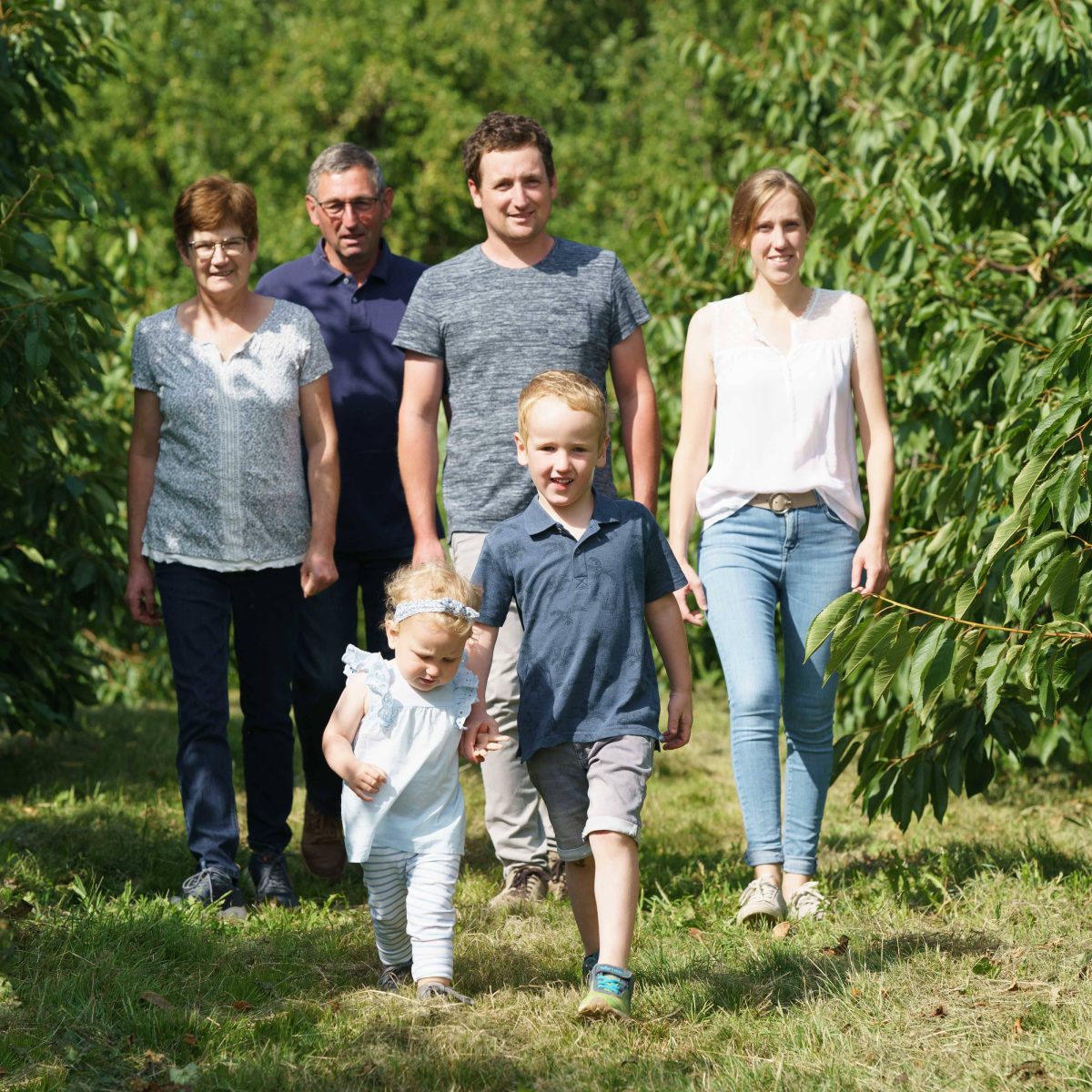 Familie Benz Familie mit zwei Kindern, die in einer Plantage spazieren geht.