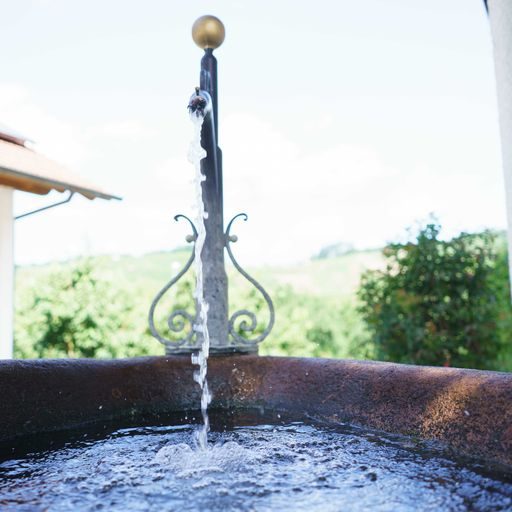 Brunnen vor dem Obsthof Benz Sprudelnder Wasserstrahl aus einer dekorativen Brunnensäule in einem Garten.